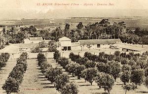 CO j- 14- Madrague- El ancor- Andalouses